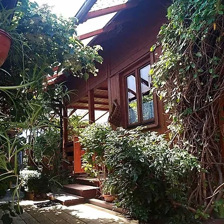 Hotel Letniskowy 8 -osobowy